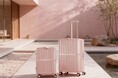 サムソナイトから“桜”にインスパイアされた限定モデルのスーツケースが発売