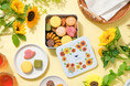 【ひまわり畑で見つけた、夏のおやつ】レモン・パイナップル・抹茶など夏らしい7種の味わい。『るんっと夏へ出かけるクッキー缶』をスナックミーオンラインストアにて期間限定発売