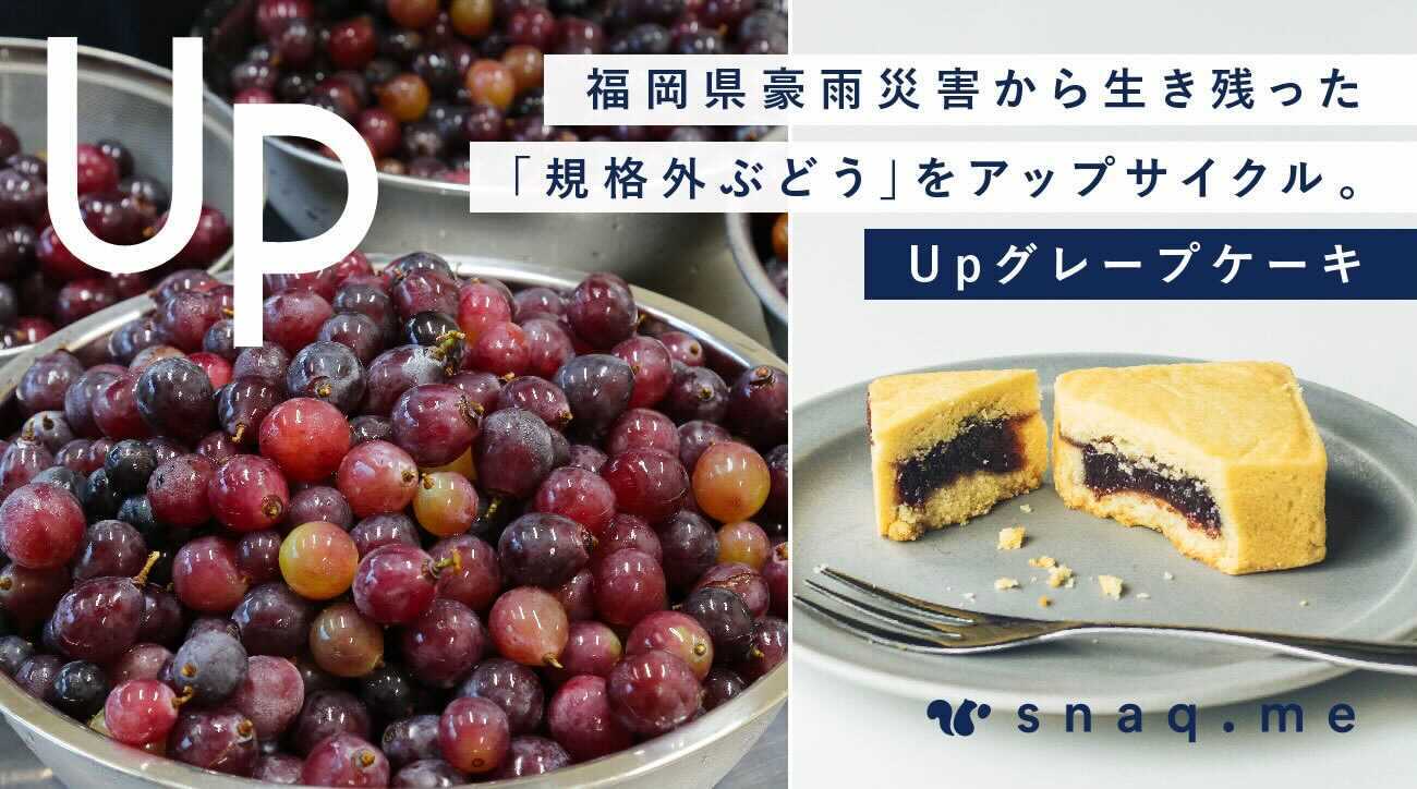 D31067 95 ae5a3e1b67b2ddd9c6ec 0