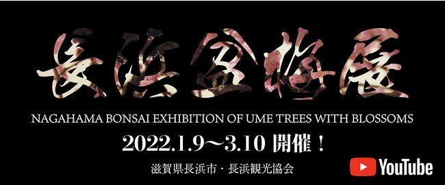 長浜盆梅展～NAGAHAMA BONSAI EXHIBITION OF UME TREES WITH  BLOSSOMS