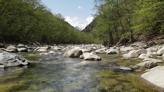 大町市の風景 清流 大町市の風景 清流