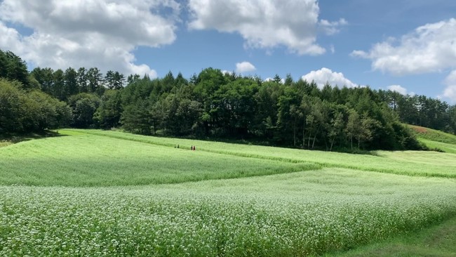 大町市の風景 大町市の風景