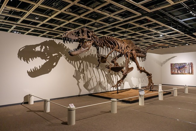 「ティラノサウルスの全身骨格」