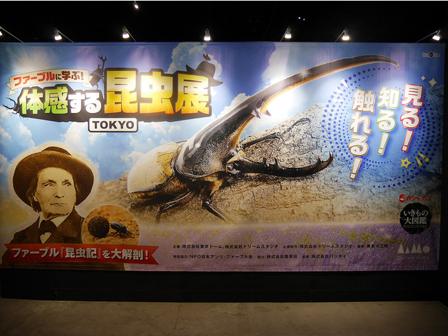 昆虫記 の世界を堪能できる ファーブルに学ぶ 体感する昆虫展tokyo 開催 見どころは ヒカルゲンジオオイナズマ 時事ドットコム