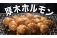 ご当地B級グルメ「厚木のホルモン」のPR動画公開!