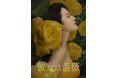 中国で大ヒットの話題作が日本上陸！中国ドラマ「彼女は薔薇」のDVD-BOX発売＆配信開始決定！ヒロインを演じるリウ・イーフェイのコメント付き日本版予告を公開！