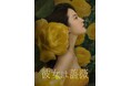 中国ドラマ「彼女は薔薇」、DVD-BOX1発売を記念して第1話をYouTubeで特別公開！ 7年越しの恋人に突きつけられた、まさかの婚約破棄