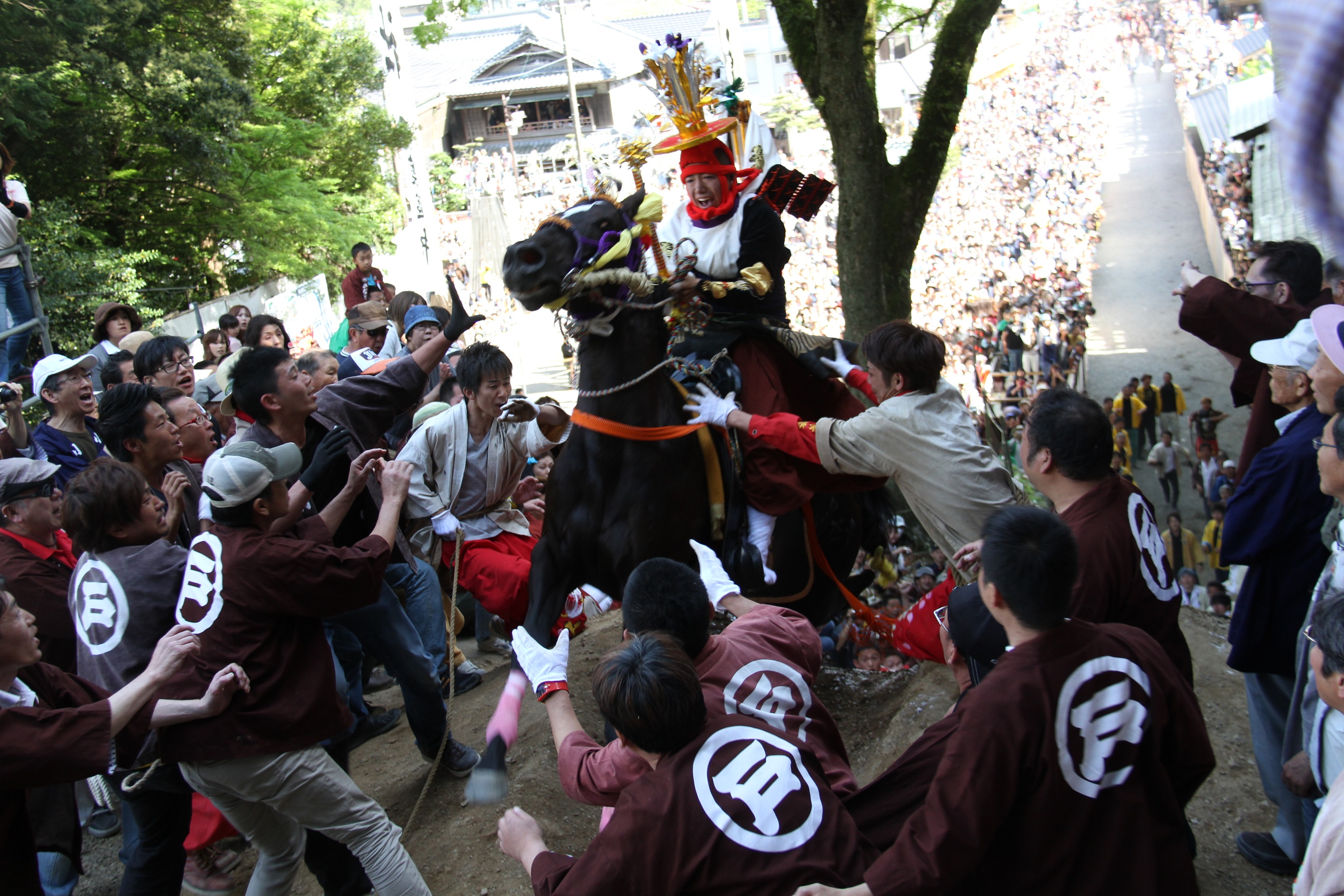 急斜面を人馬が駆け上がる姿は圧巻 三重県桑名市で 上げ馬神事 が開催 株式会社ポニーキャニオンのプレスリリース