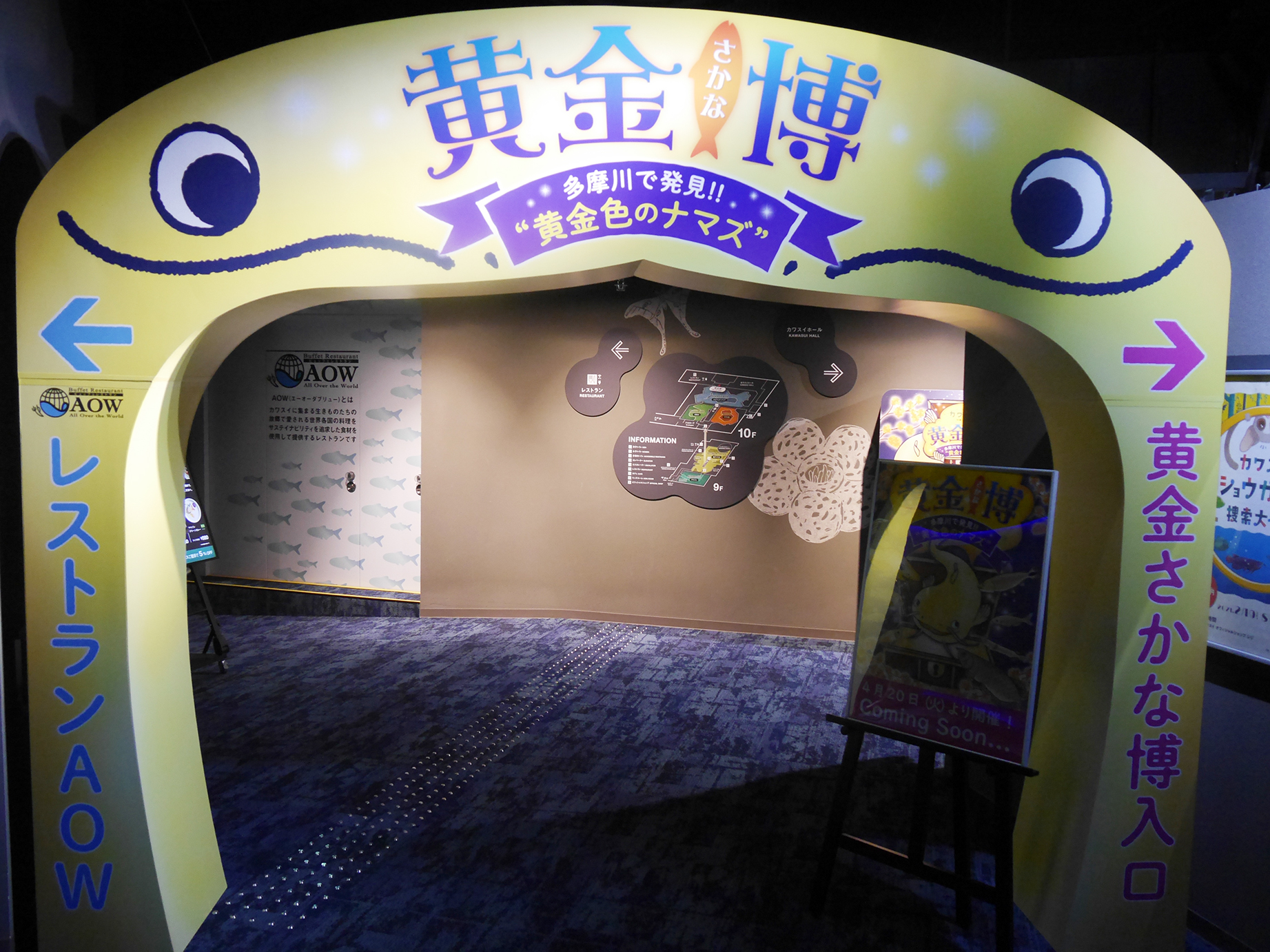 カワスイ 川崎水族館 が 黄金さかな博 多摩川 で発見 黄金色のナマズ を開催 たまずん たちの美しい輝きは必見 株式会社ポニーキャニオンのプレスリリース