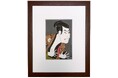 浮世絵復刻版第二弾!写楽の役者絵と英泉・国貞・広重の美人画が江戸伝承手彫り手摺りによって当時の趣のままに再現