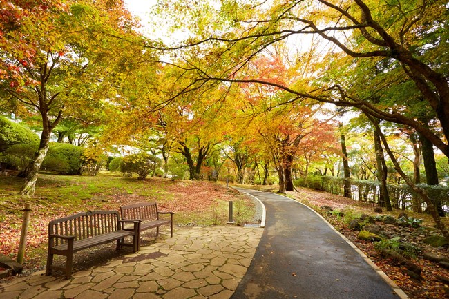 山のホテル紅葉の小径