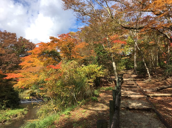 箱根ハイランドホテルの庭園散策路