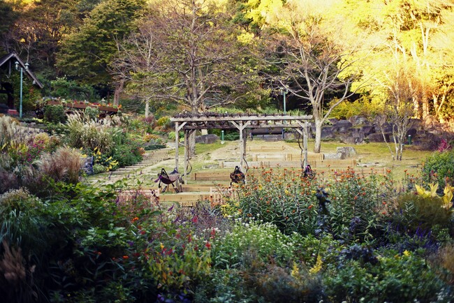 四季の庭 四季の庭