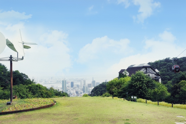 【風の丘芝生広場】神戸の街並みと緑に囲まれた癒し空間