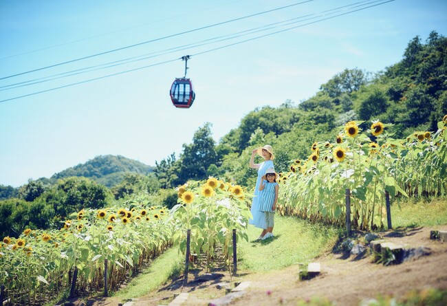 風の丘フラワー園