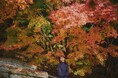 神戸の紅葉の名所「布引の紅葉」間もなく見ごろに。秋色に彩るガーデンと紅葉が調和した自然の織りなす”いくつもの”情景を楽しめます。ロープウェイの車窓からは色づく六甲山脈の壮大な景色が眼下に広がります