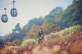 ”秋が来た”山上のリゾート”神戸布引ハーブ園”で「Garden Fest 2024-Autumn-」スタート。秋色のガーデン、グルメ&スイーツ、爽やかな秋風、日常を離れ”優雅な休日”をお過ごしください