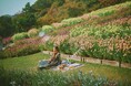 大人気の“手ぶらおしゃピク”企画「Garden Picnic2024」秋シーズンのご予約を受付中。おしゃれアイテムをすべてレンタル。爽やかな風が吹くガーデンの中で、上質で特別なピクニックを楽しめます