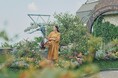 春、始まります。山上のリゾート"神戸布引ハーブ園"でGARDEN FEST 2025 -Spring-を開催。彩るガーデン、爽やかな風と心地よい香り。日常から離れ、優雅な休日をお過ごしいただけます