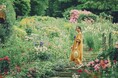 “まるで絵本のような世界”神戸布引ハーブ園のコンセプトガーデンが最盛期に!色、香り、小鳥のさえずり、そして爽やかな風。自然を体いっぱいで感じる「癒しの空間」です。