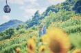 「きっと忘れない夏GARDEN FEST 2025-Summer-」がスタート。神戸布引ハーブ園が夏のリゾートに様変わり。昼はいっぱい遊んで、夜は「夜景×イルミネーション」の空間で、丸一日過ごせます!