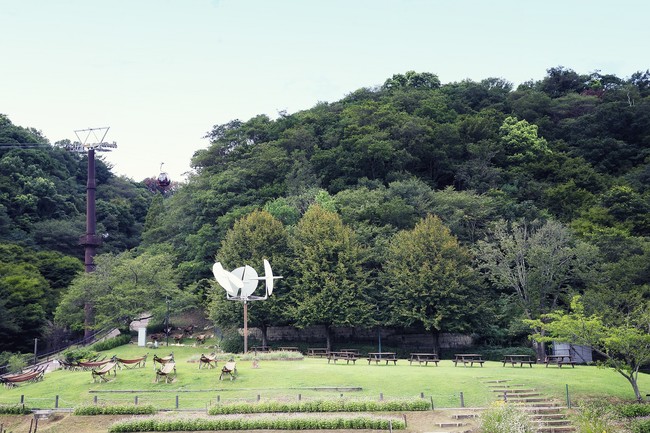 神戸を見下ろす芝生広場は最適なピクニックスポットです