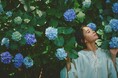 “涼”を感じる人気“アジサイスポット”神戸布引ハーブ園。園内3つのエリアに様々なロケーションの「アジサイのある風景」が登場。見ごろを迎えました。瑞々しい情景に心が涼みます。
