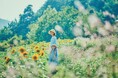 夏の神戸布引ハーブ園は最高に楽しい！「きっと忘れない夏GARDEN FEST 2026-Summer-」を開催。昼から遊べる「涼しい」「楽しい」企画と夏色の「サマーガーデン」がいっぱい。夜は夜景も！