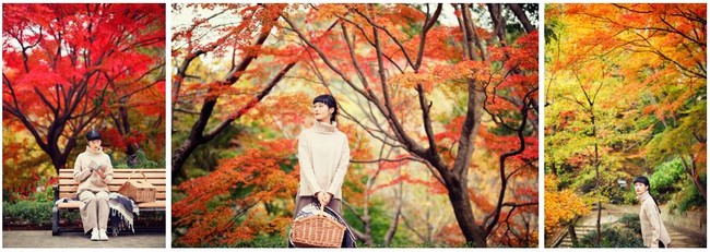 神戸の紅葉の名所 布引の紅葉 間もなく見ごろに 神戸布引ハーブ園では約500本のモミジ 約100本のヤマザクラなど 秋に色づく六甲の山並みがお楽しみいただけます 神戸リゾートサービス株式会社のプレスリリース