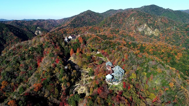 神戸の紅葉の名所 布引の紅葉 間もなく見ごろに 神戸布引ハーブ園では約500本のモミジ 約100本のヤマザクラなど 秋に色づく六甲の山並みがお楽しみいただけます 神戸リゾートサービス株式会社のプレスリリース