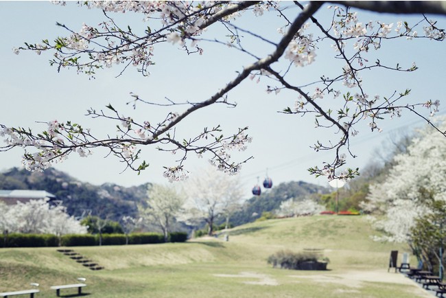 風の丘芝生広場