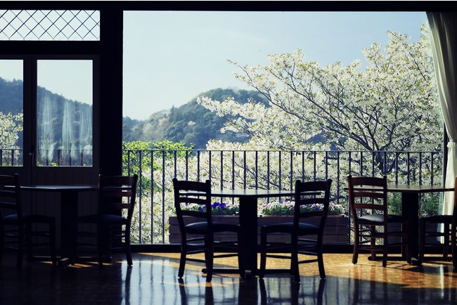レストラン「ザ・ハーブダイニング」からの山桜 レストラン「ザ・ハーブダイニング」からの山桜