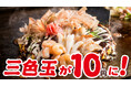 【通常920円お好み焼が10円に!?】どんどん亭「三色玉10円祭り」が今年も開催決定！昨年より開催店舗を拡大してパワーアップしました