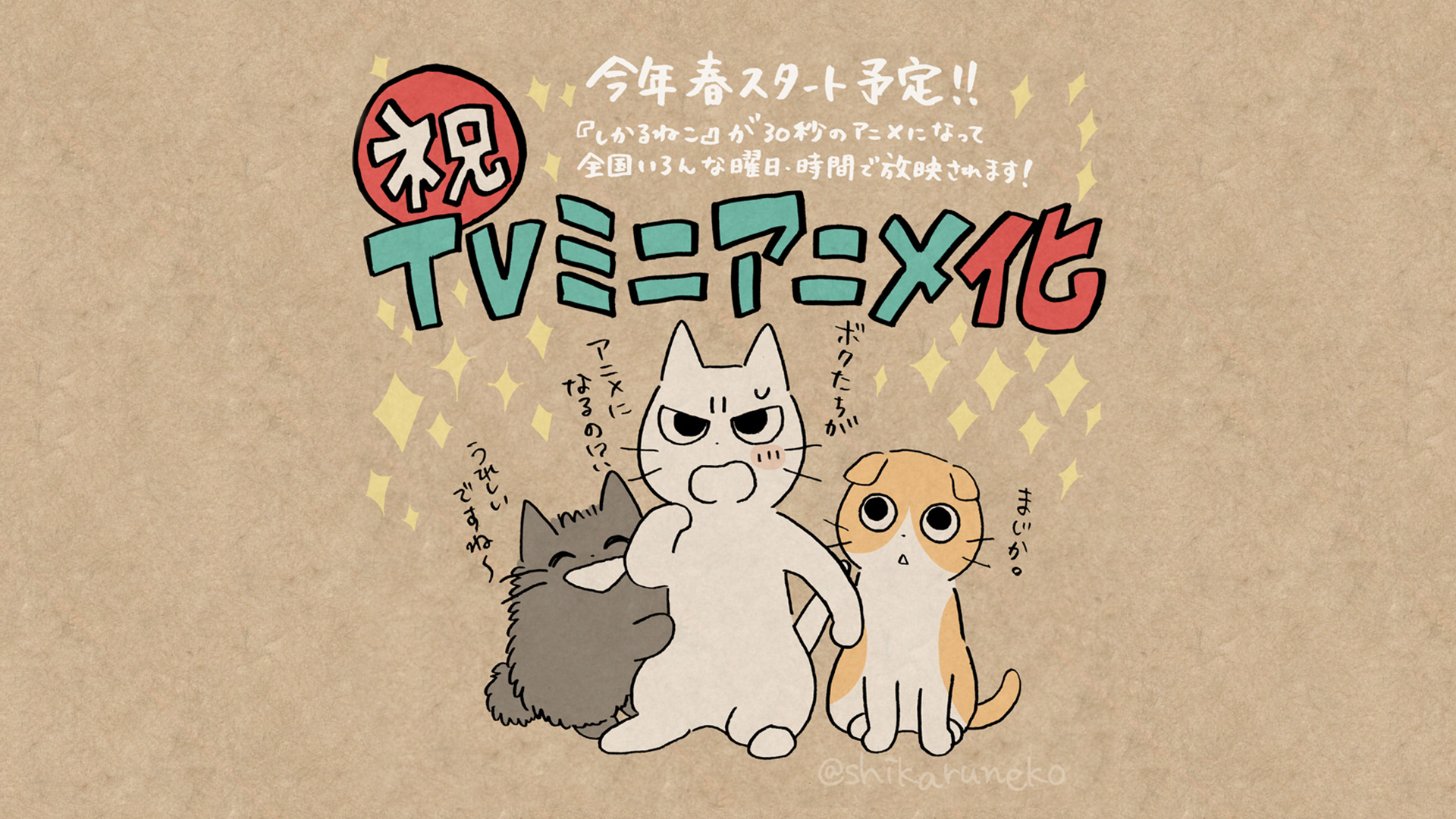 叱られてるのに癒される Twitterで人気の しかるねこ Tvミニアニメ化決定 ワープのプレスリリース
