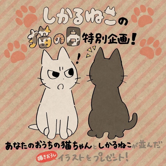 叱られてるのに癒される Twitterで人気の しかるねこ Tvミニアニメ化決定 アニメニュースサイト あにぶニュース