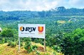 THIN COFFEE FARM(ベトナム)とスタートライン指定農園としての提携を開始