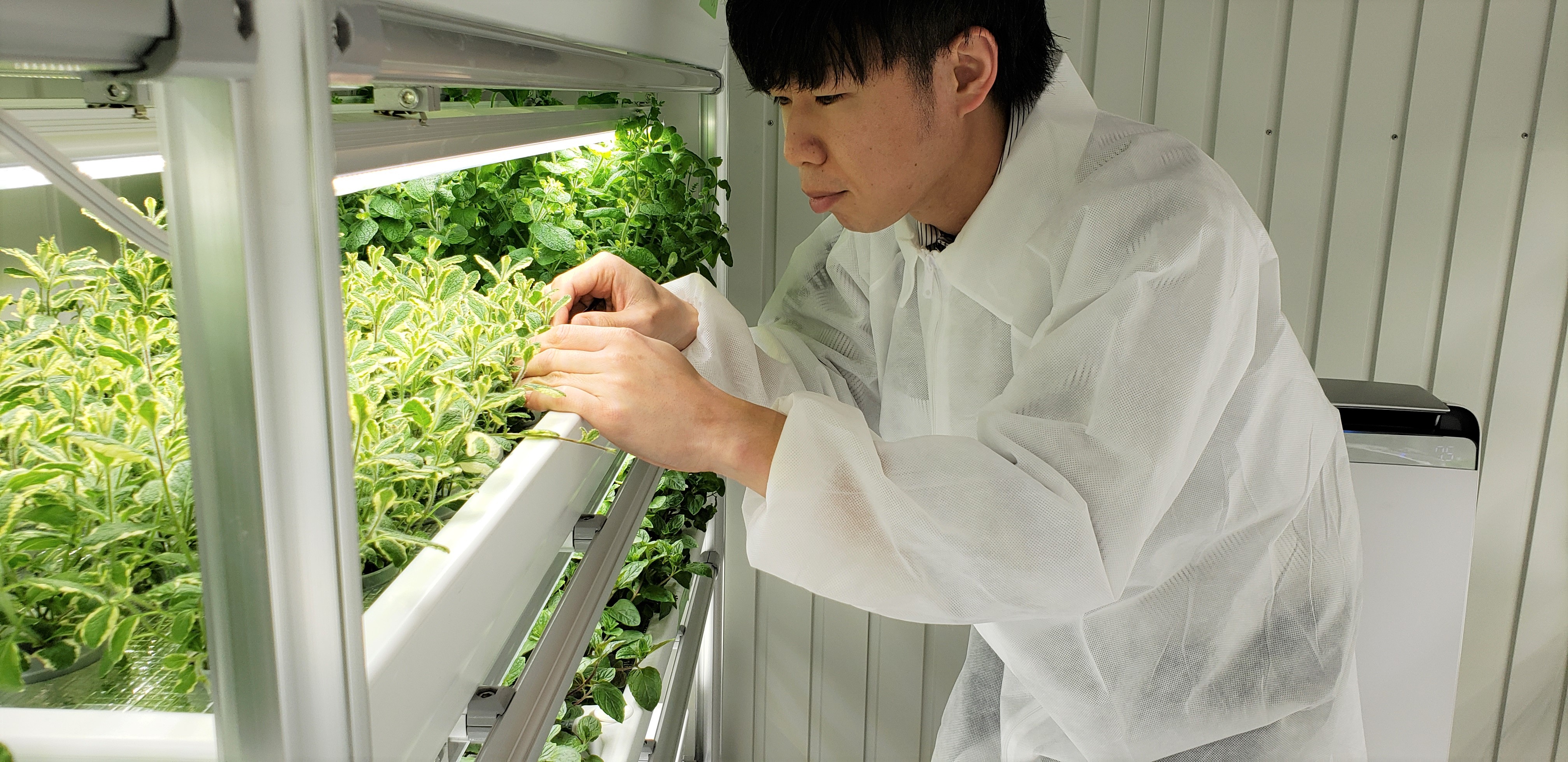 屋内農園型障がい者雇用支援サービス Ibuki 6月3日 月 第6farmを神奈川県海老名市にopen 株式会社スタートラインのプレスリリース