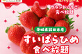 まるでスイーツのようないちご「すいぱらひめ」が食べ放題!国産ブランドいちご食べ放題第2弾は「すいぱらひめ食べ放題」