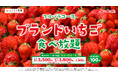 【スイパラ】ブランドいちご食べ放題 開催決定！契約農家直送のいちごに加え「いちごタルト」「いちご大福」も食べ放題