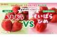 【スイパラでいちご狩り】いちごの王様「あまおう」 vs 2年連続大賞農家の「すいぱらひめ」を食べ比べ！贅沢「こぼれいちごのショートケーキ」も登場