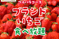 【スイパラでいちご狩り】旬の国産ブランドいちごが食べ放題！春休みはフルパラコースでいちごを好きなだけ