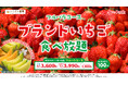 【スイパラ】4/8からの「ブランドいちご食べ放題」では1stプレート限定で「アールスメロン」が仲間入り♪
