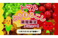 【ホテルラヴィエ川良】旬野菜”トマト&とうもろこし”メニューがディナーバイキングで楽しめる宿泊プラン!ご予約受付中