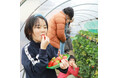 池田屋×海清農園の異業種コラボ『みんな大好き!いちごの栽培&収穫ワークショップ』大好評をいただきながら全4回が終了