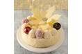 【そごう大宮店】2024年 クリスマスケーキご予約承りがスタート!