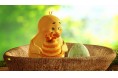 梅雨の週末は、お買い物と一緒にシネマ鑑賞「週末ショートシネマ」