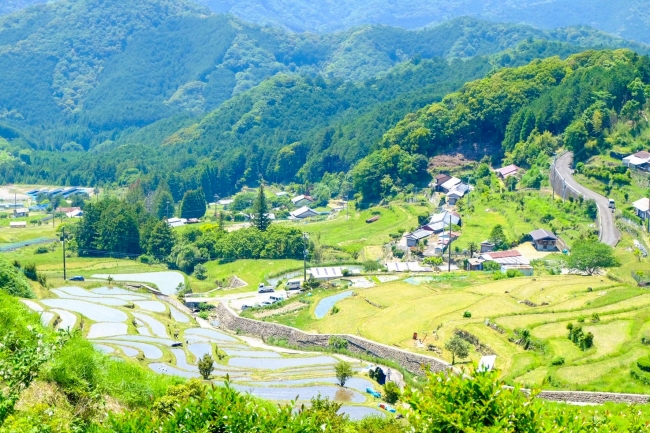 和歌山の豊かな里山風景