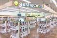 カプセルトイ専門店『gashacoco（ガシャココ）』のフランチャイズ店舗３０号店『gashacoco 平安堂若槻』を11月27日(木)オープン！
