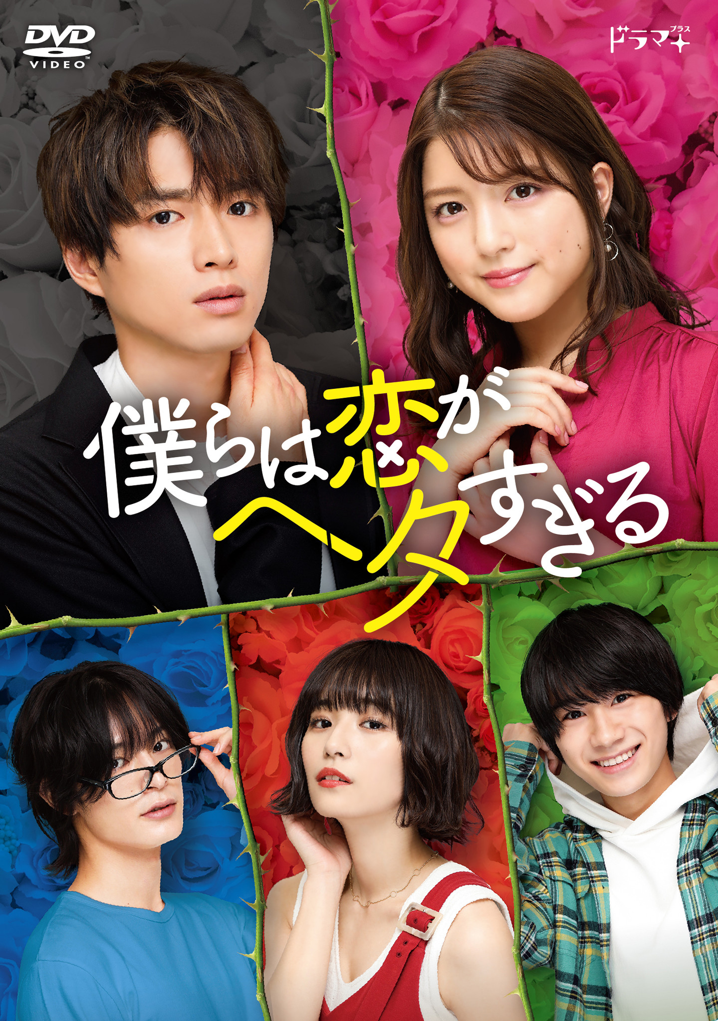 川島海荷と白洲迅がｗ主演 ドラマ 僕らは恋がヘタすぎる Dvd Boxが21年3月3日発売決定 株式会社ハピネットのプレスリリース