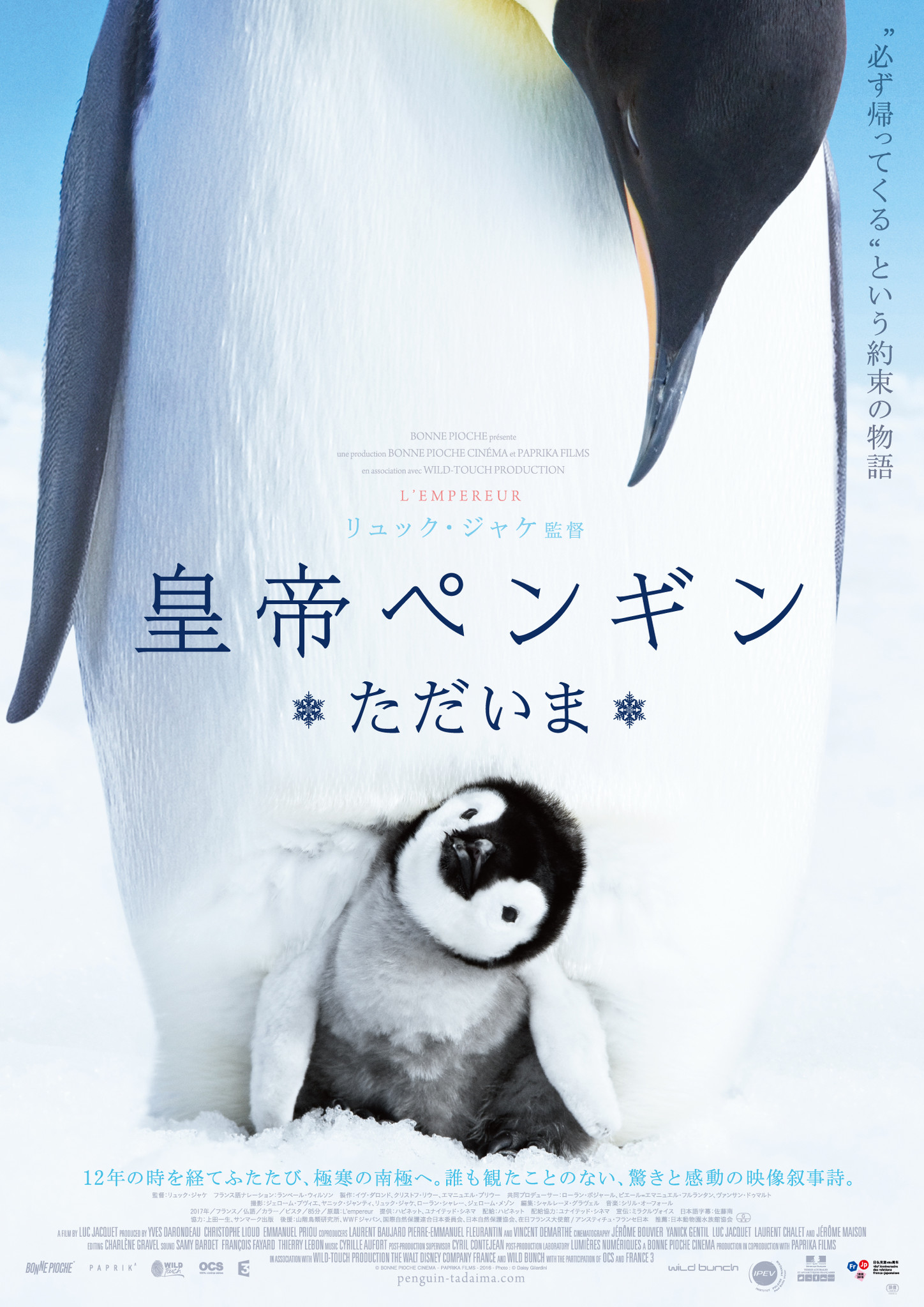 世界が恋した皇帝ペンギンが 12年の時を経てスクリーンに戻ってきた 映画 皇帝ペンギン ただいま 18 8 25 土 より全国順次公開 株式会社ハピネットのプレスリリース